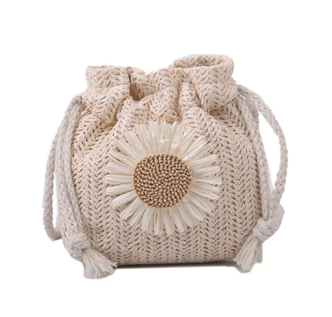 Straw Minimalist Crossbody Bag